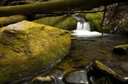 Moss covered rocks